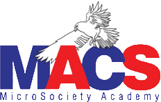 MicroSociety Academy Charter School