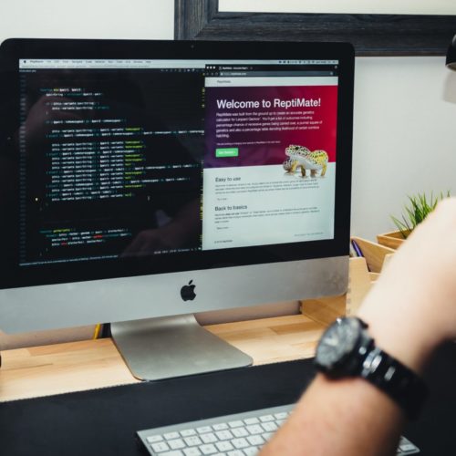 Website design, one of Pearl Marketing's services