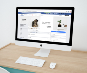 The Facebook User Interface