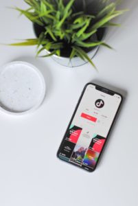 The Tiktok User Interface